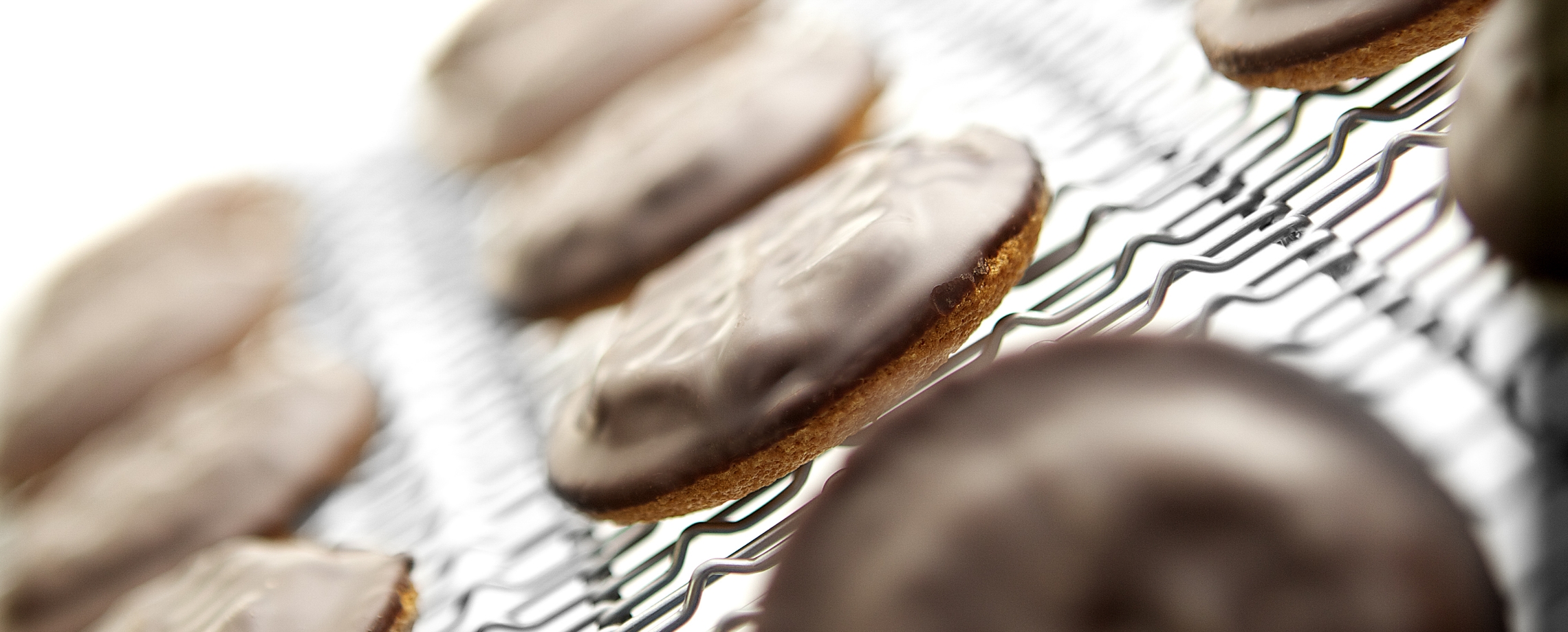 01-mrt-header-k2390-fruchtgelee.jpg 01-mrt-header-k2390-fruchtgelee.jpg