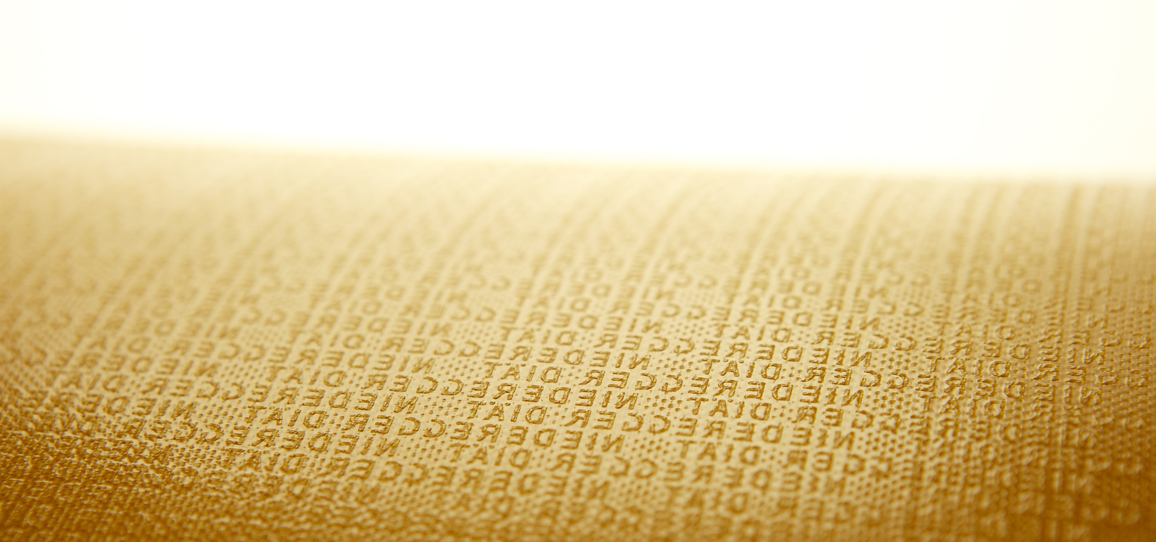 startseite_header_kunststofftransportband