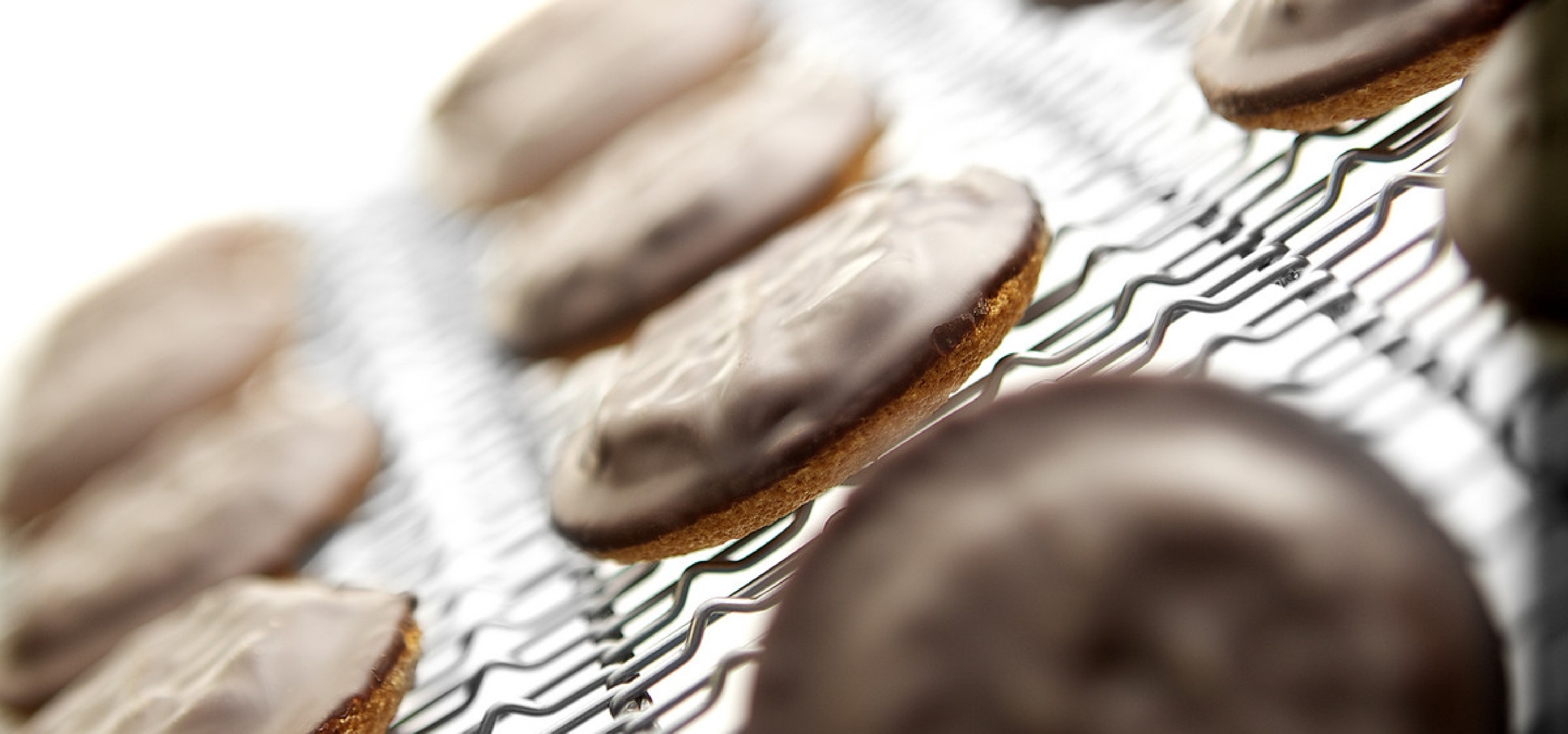 csm_101_ECO_mit_Spitzen_13_ebe264abf5