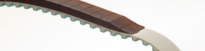 Pasek zębaty
